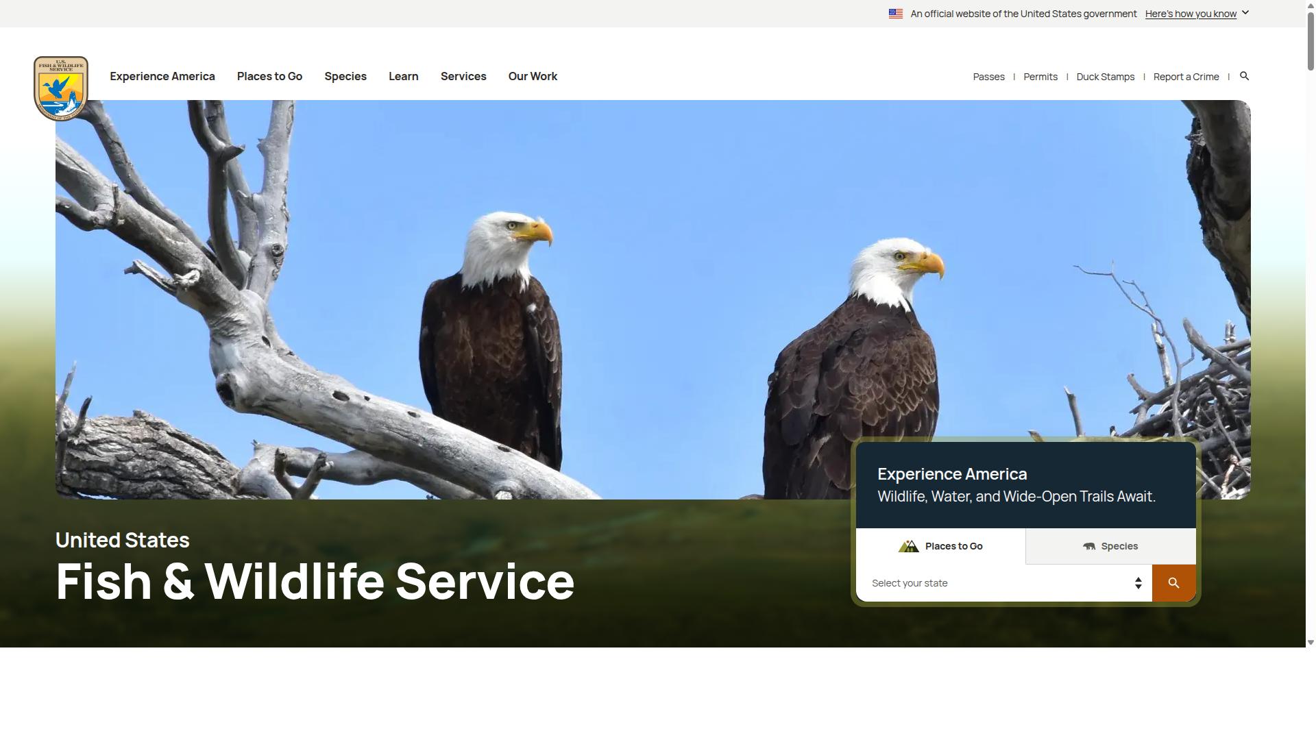 River website