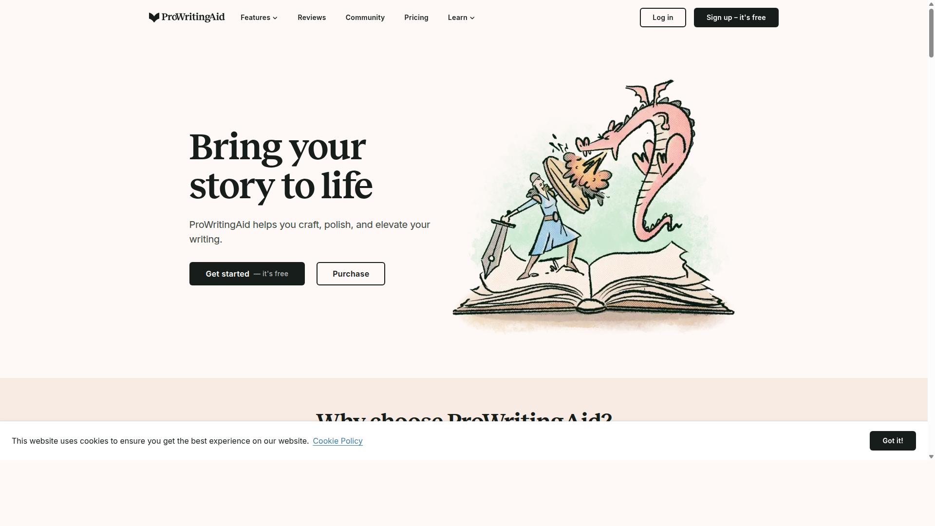 ProWritingAid website